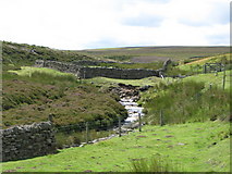 NY8848 : The valley of Henshaw Burn by Mike Quinn