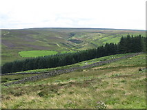NY9049 : Moorland and plantation above Heatheryburn Farm (2) by Mike Quinn
