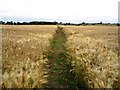 NZ0672 : Footpath across barley fields by Graham Scarborough