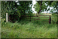 Y-junction of bridleway and footpath