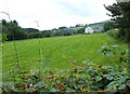 Grazing Land, Llanddewi-Brefi, Ceredigion