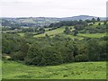 Valley above Woolminstone