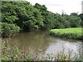 River Trent near Meaford