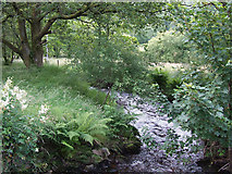 SN6748 : Mountain Stream, Carmarthenshire by Roger  D Kidd