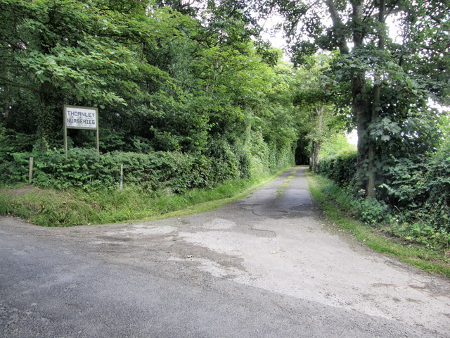 Entrance to Thornley Nurseries 