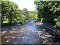 SJ0215 : River Vyrnwy by Penny Mayes