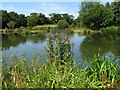 Chapel Road Fishing Lake