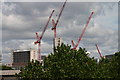 A Collection of cranes