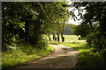 Farm road to Milton of Ardlethen