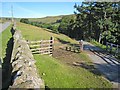 The road down to Bollihope Shield