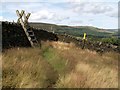 Boundary Wall meets Boundary Wall