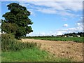 Ashwell Farm from Mill Lane