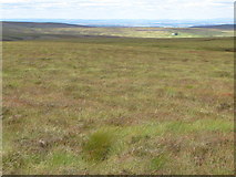 NY8846 : Quickcleugh Moss by Mike Quinn