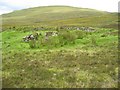 NG4453 : Sheepfold below Beinn an Righ by John Allan