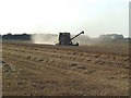 Evening harvesting