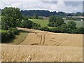 Cudworth from the east