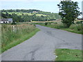 Road to St Cyrus Nature Reserve