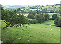 Farm Land near Llanddewi-Brefi, Ceredigion