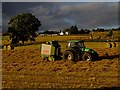 Baling up the Hay