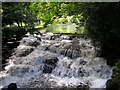 TQ2764 : Cascade in the river Wandle, Grove Park, Carshalton by I M Chengappa