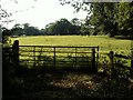 Footpath across a field