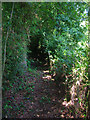 Footpath to Burgh Hill