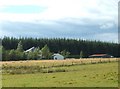 Farm adjacent to Sheriffmuir Inn