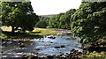 A quiet stretch of the Swale.