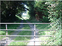 SC4196 : Gate and track leading to Ballacrebbin by Adie Jackson