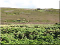 Grouse butts on Muggleswick Park