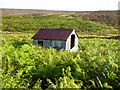 SE8698 : Old shed in moorland near Fylingdales by Phil Catterall