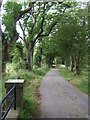 Road west from Corskie Burn bridge