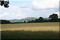 Pasture near Stoneyard Green