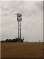 Mobile phone mast near Erskine