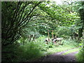 The Major and the stile to Llanffinan Church