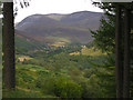 NN8768 : View towards Glen Tilt from Blairbuachdar Wood by Nigel Brown