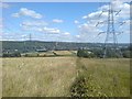 Electricity pylons near Pontarddulais