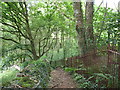 Public footpath around the western perimeter of Coed Plas Llanddyfnan Woods