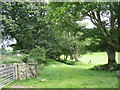 Farm lane at the back of Plas Llanddyfnan