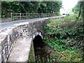 Pontfaen over Afon Nyfer