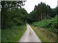 Forestry road in Great Cockerdale Wood