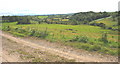 Wooded valley above the B5110