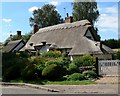 Pest Cottage in Old Woodhouse