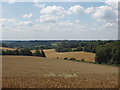 Fields near Loudwater