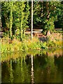 Ornamental lake with reflections of a tree, Lydiard Park