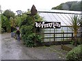 Seaforde Gardens and Tropical Butterfly House