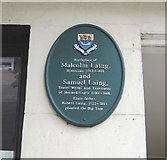 HY4411 : Plaque of Robert Laing by Geoff King