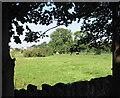 Field above stream in Poolmill