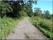 SN5705 : Remnant of an old road by Hywel Williams