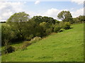 Valley of Lodge Beck, Birkenshaw